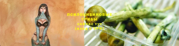 стафф Алзамай