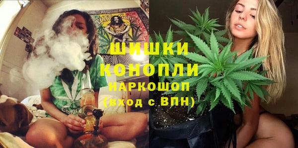 твердый Алексин