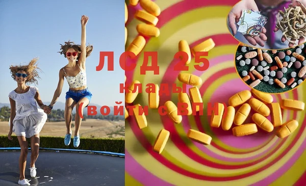 стафф Алзамай