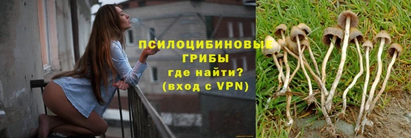 стафф Алзамай