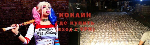 стафф Алзамай