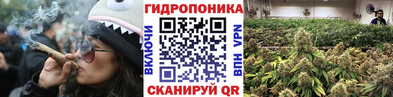Конопля индика Гаврилов-Ям